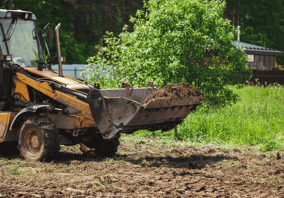 land-clearing